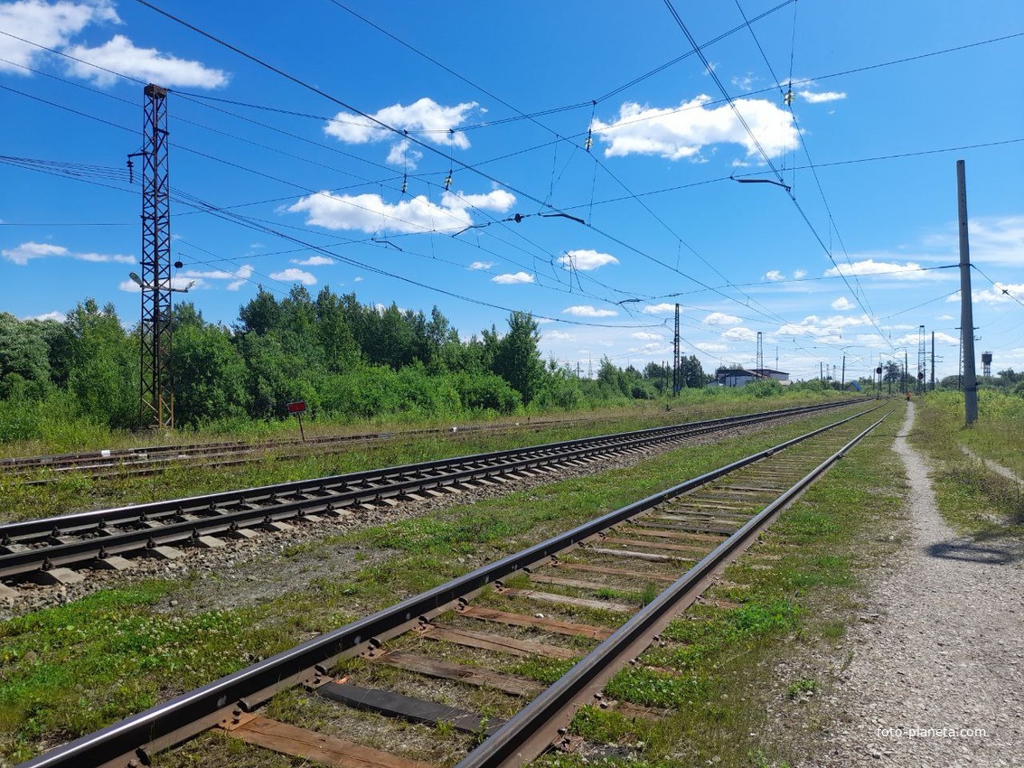 Стация Всесвятская