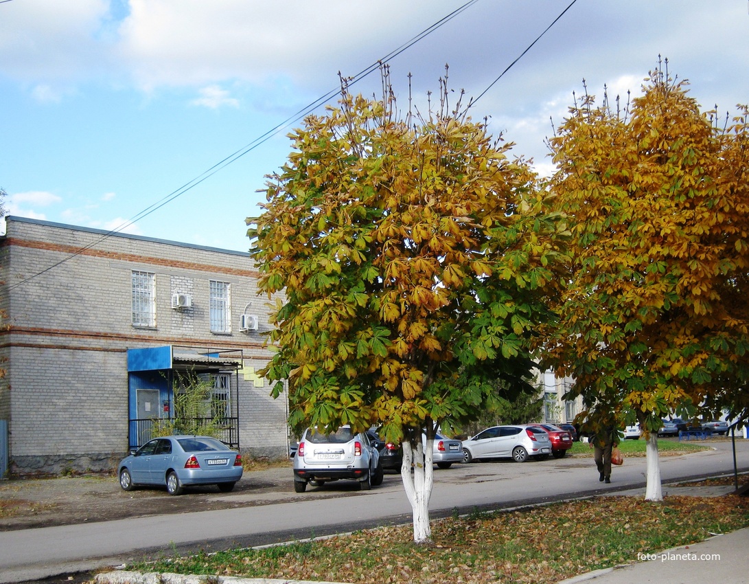 Мокроус. Улица Победы. Здание отделения Сбербанка.