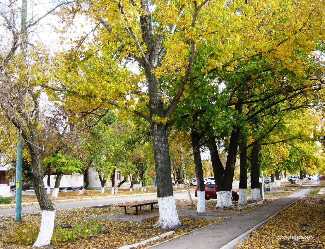 Мокроус. Улица Победы.