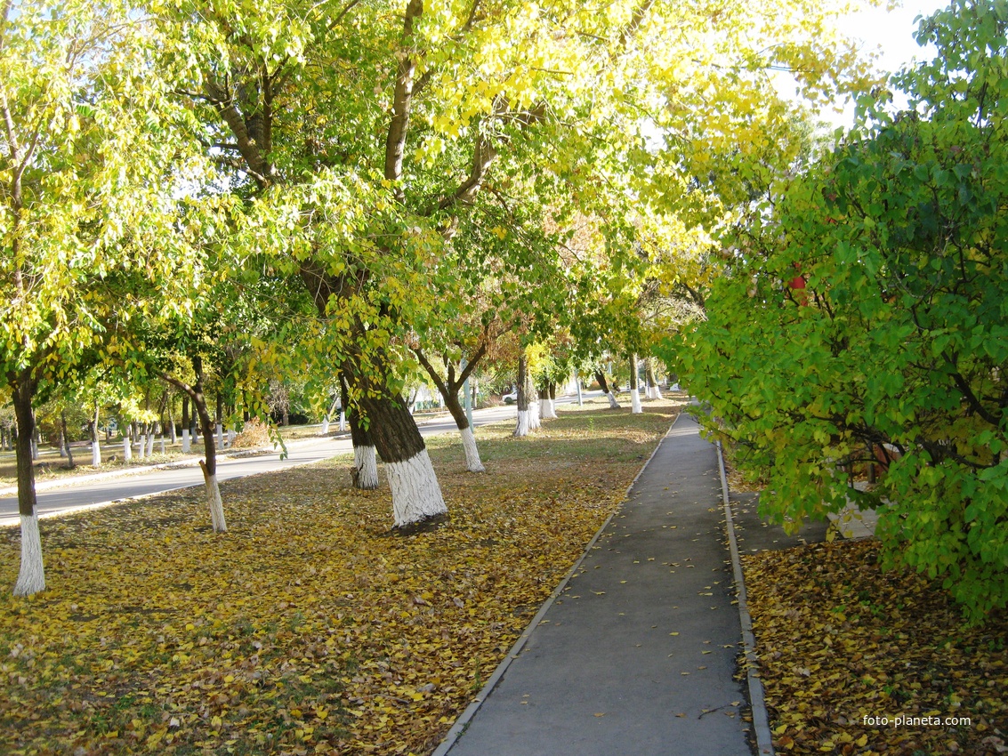 Мокроус. Улица Победы.