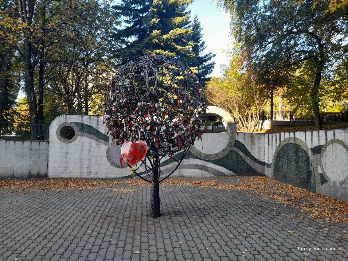 Дерево влюблённых