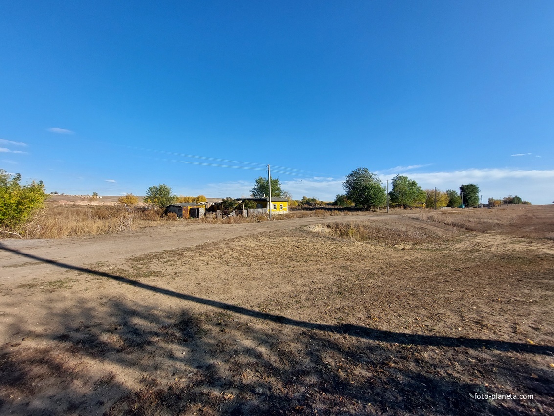 Аксазда вид