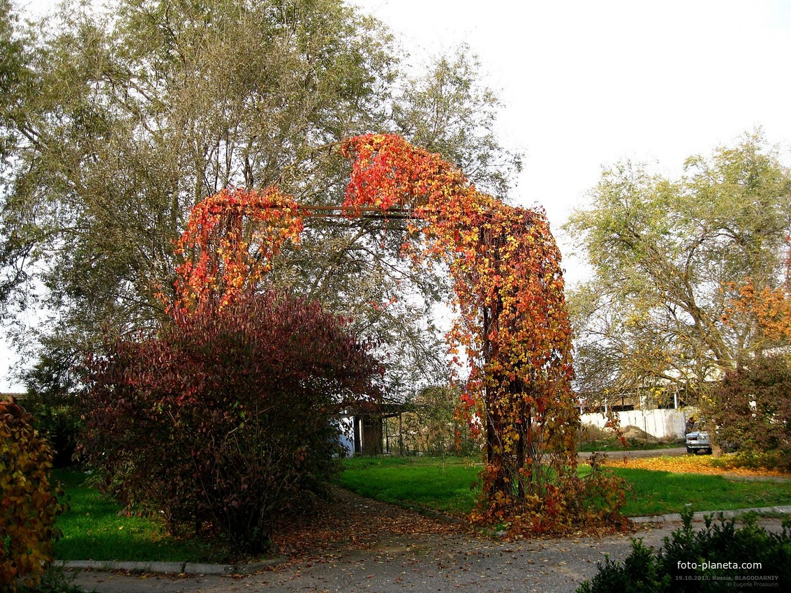 Арка в западной части Парка Воинской Славы.