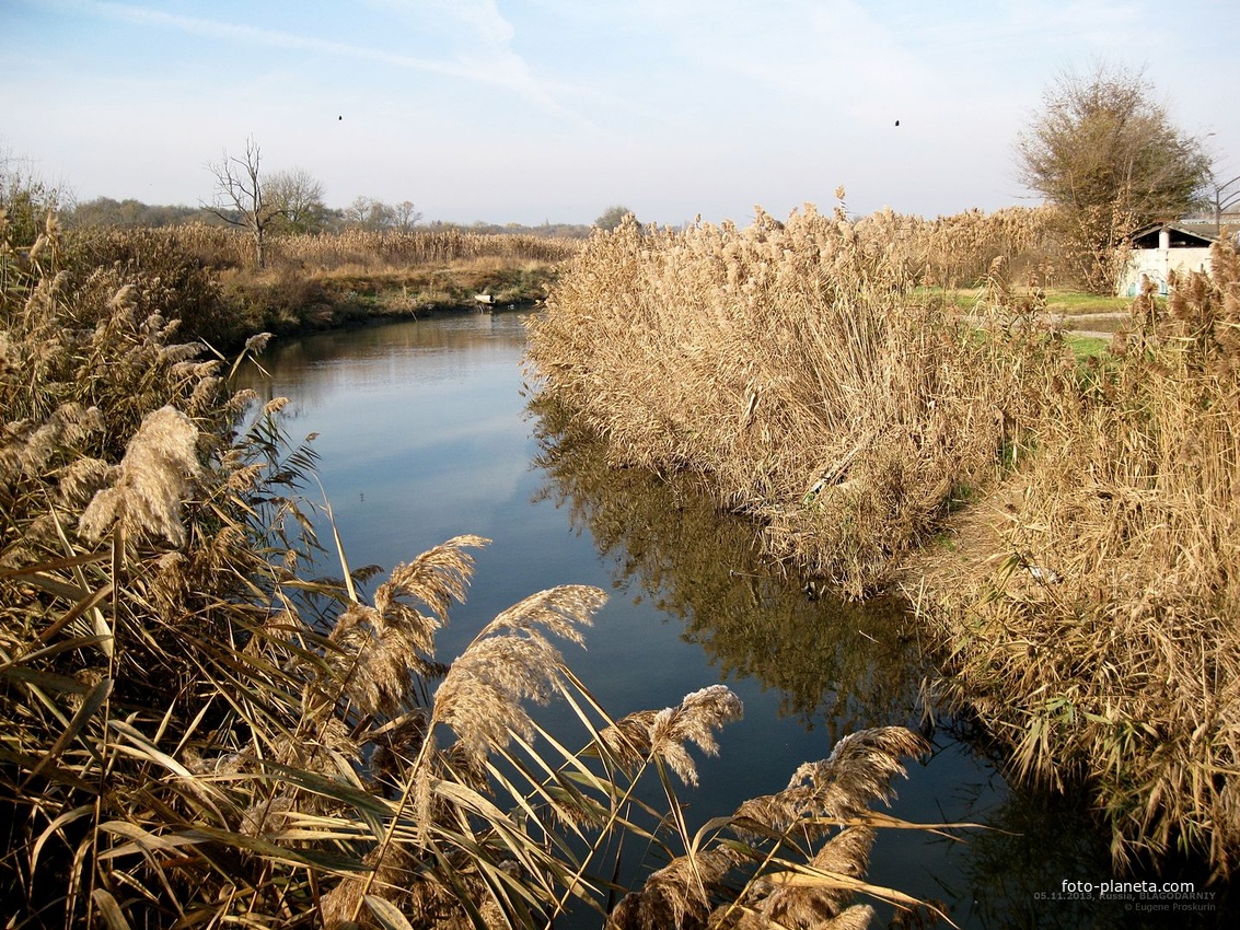 Вид на р.Мокрая Буйвола (на запад) с железного пешеходного моста у бывшего Казачьего рынка.