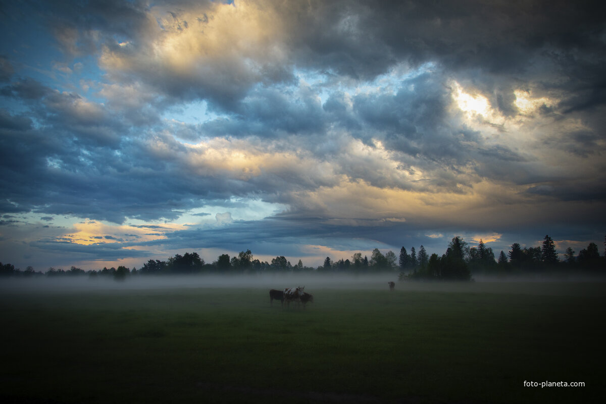 С.Каракокша, выпас за селом.