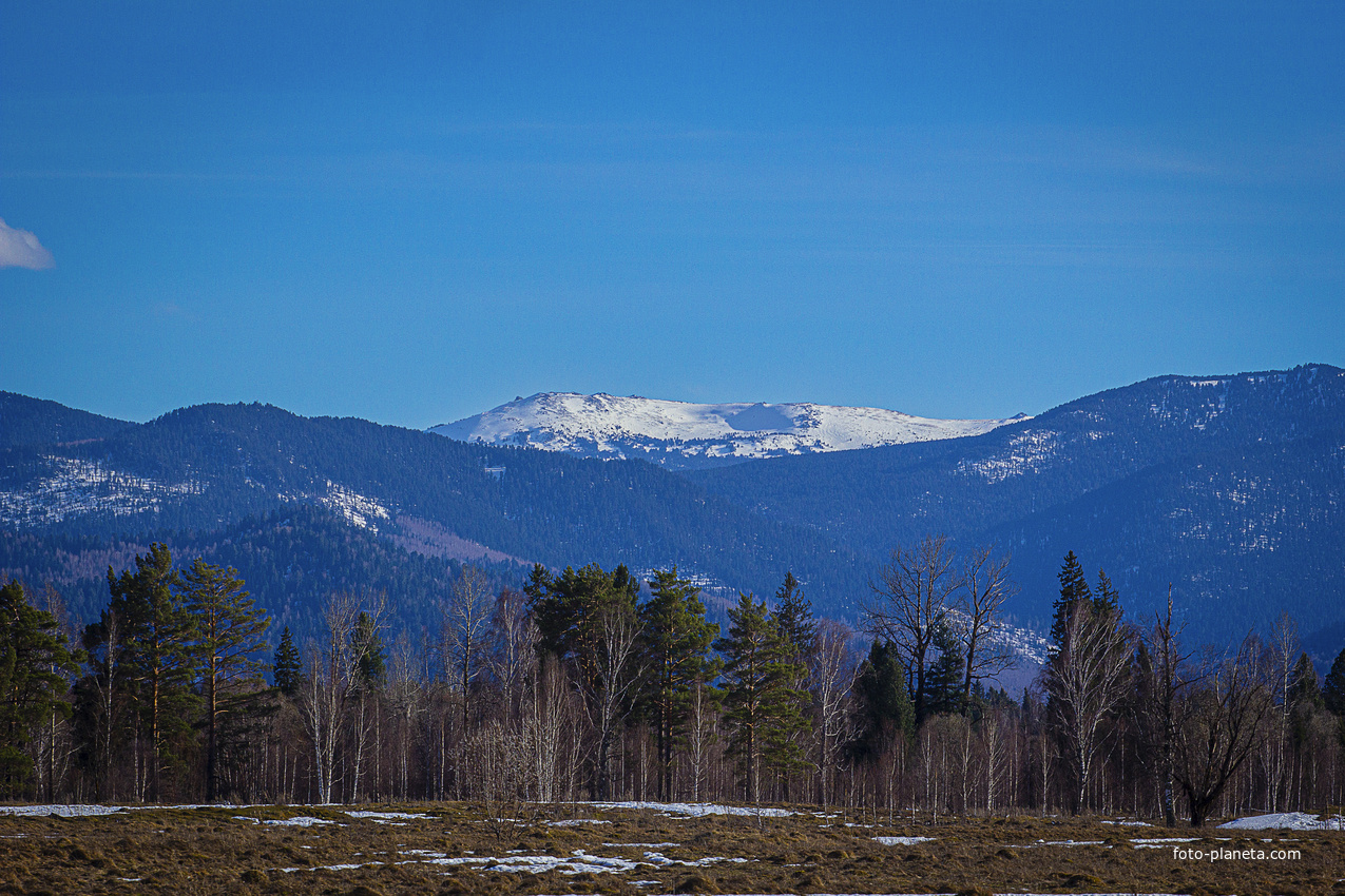 С.Каракокша. Вил на г.Вершина Малой Кузи.