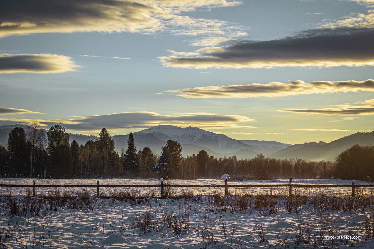 С.Каракокша. Питомник.