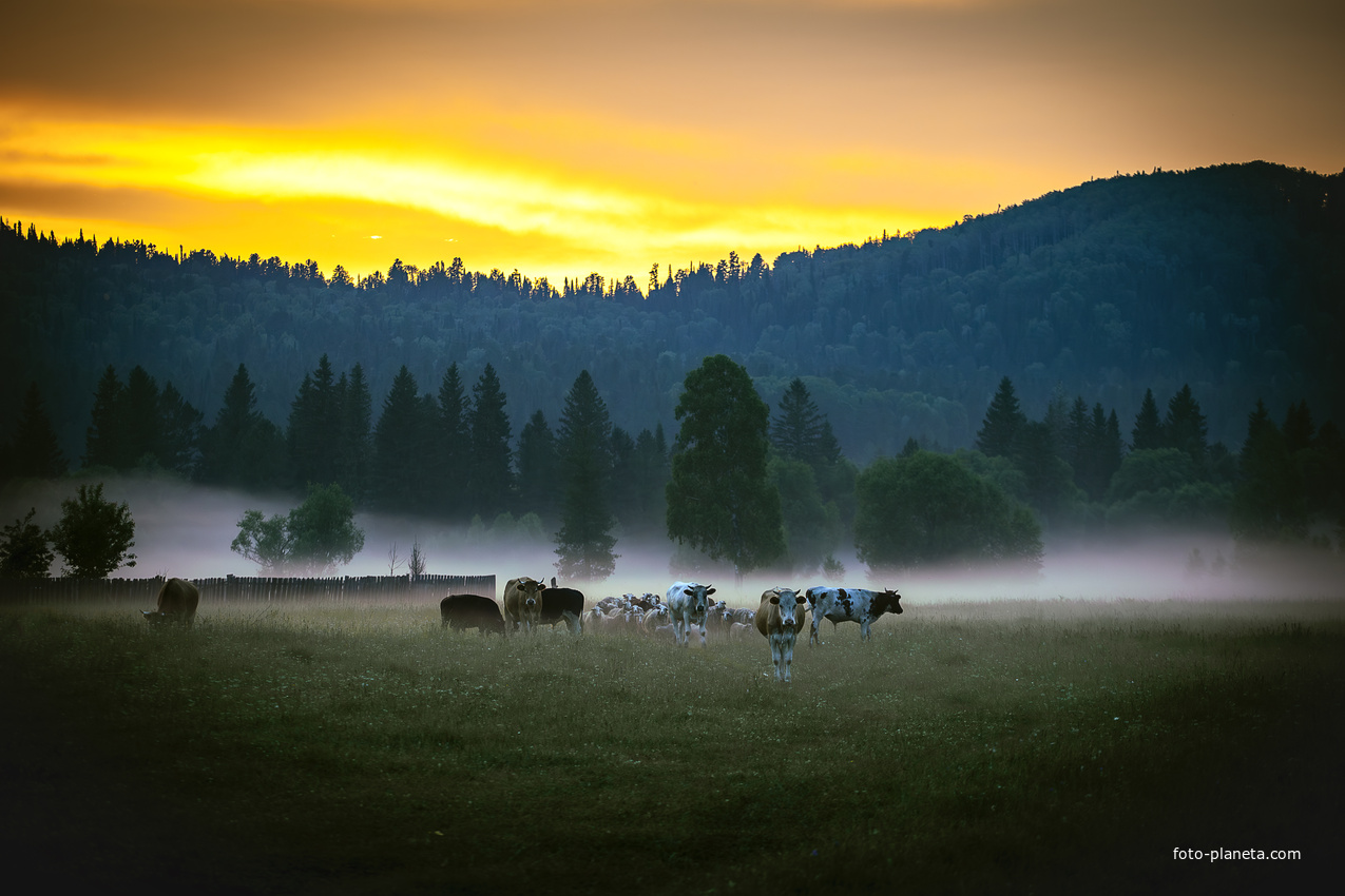С.Каракокша. Вечер.