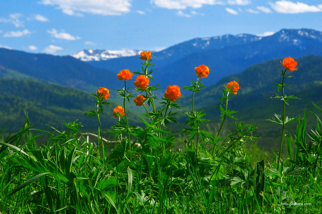 С. Каракокша. Малиновая горка. Огоньки.