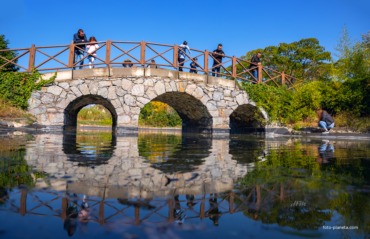 Стамбул.  Парк Отагтепе (Otagtepe Park) Оригинальный мост на пруду с черепашками...