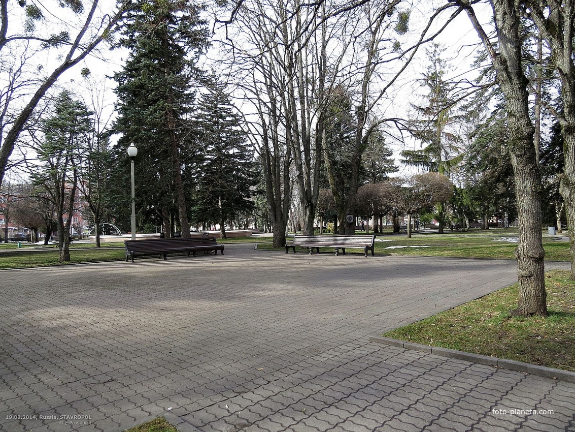 Участок сквера им.А.Джатдоева между ул.Дзержинского и Домом Правительства.