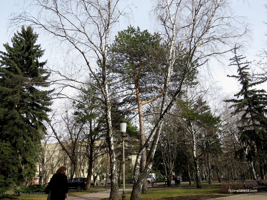 Участок сквера им.А.Джатдоева с юго-западной стороны Дома Правительства.