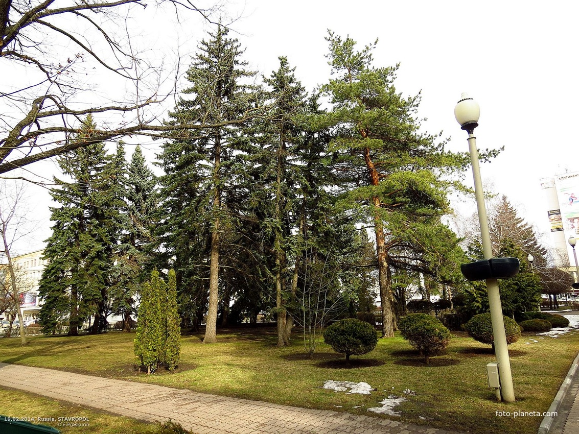 Участок сквера им.А.Джатдоева между ул.Дзержинского и Домом Правительства.