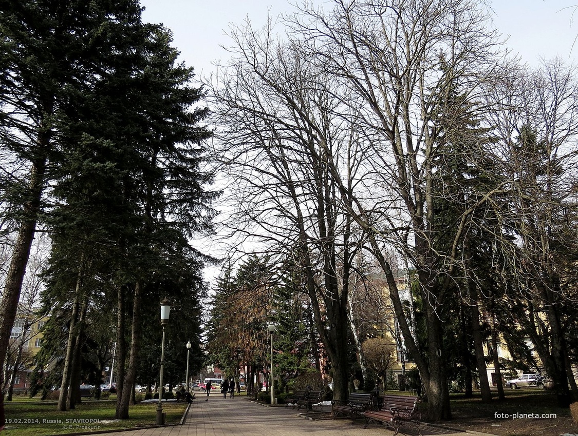 Участок сквера им.А.Джатдоева между театром драмы им.М.Ю.Лермонтова и ул.Михаила Морозова