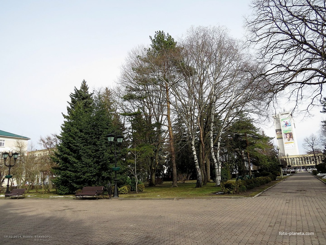 Участок сквера им.А.Джатдоева между ул.Дзержинского и Домом Правительства.