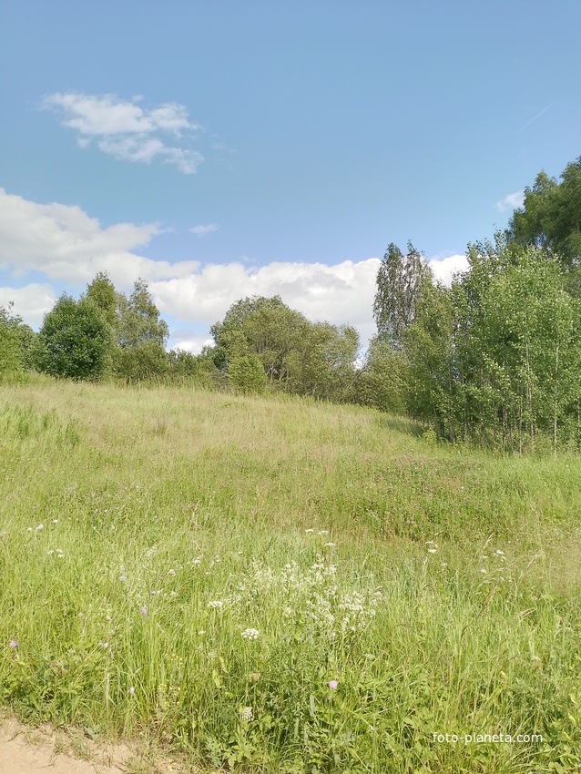 Новгородская обл. Холмскиц р-н. Д. Силагино, все что осталось...
