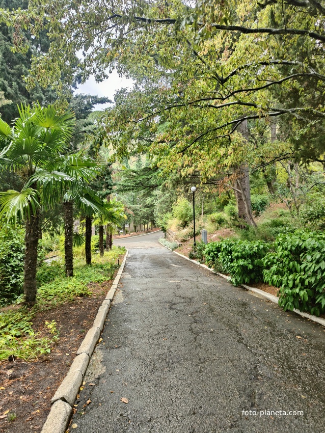 Санаторий "Горный" в п.г.т. Курпаты. Дорожки между корпусами.