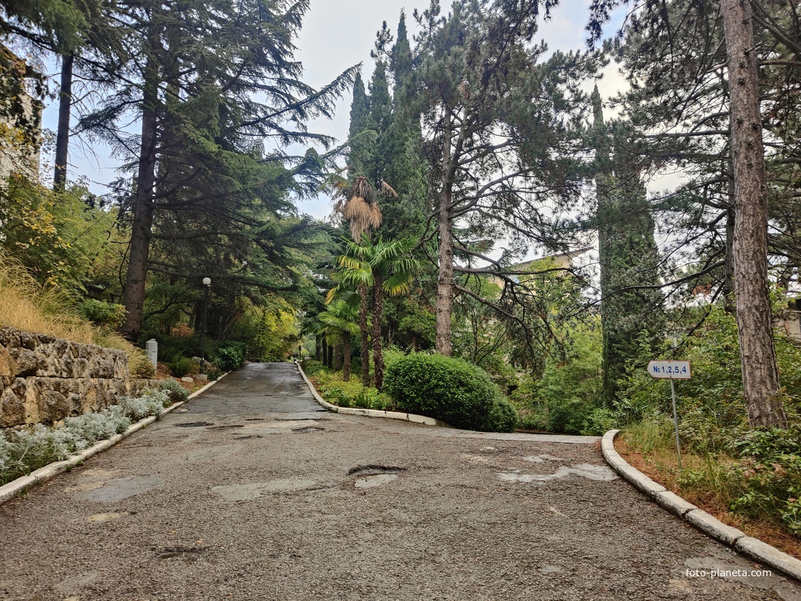 Санаторий "Горный" в п.г.т. Курпаты. Дорожки между корпусами.