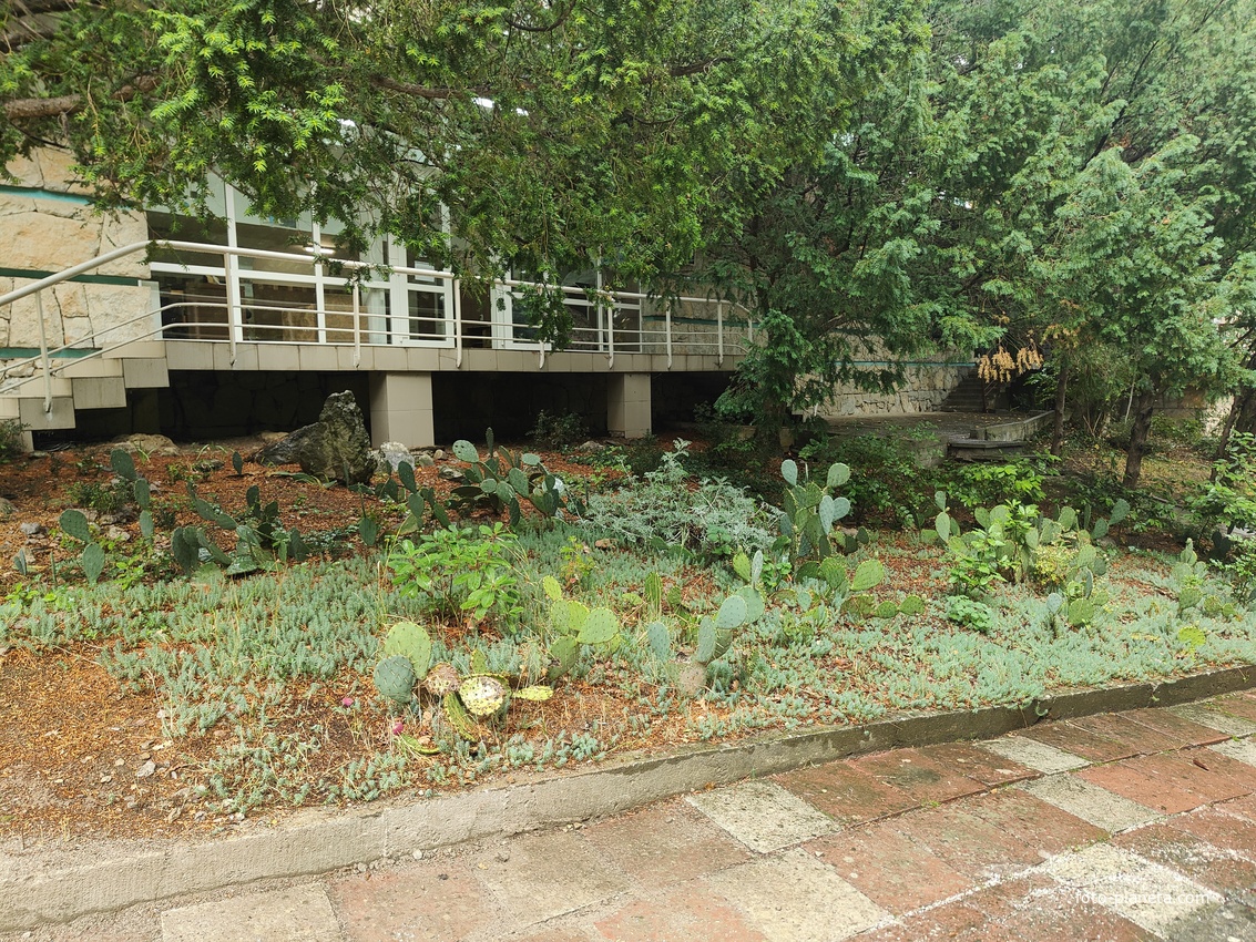 Санаторий "Горный" в п.г.т. Курпаты. Дорожка перед бассейном.