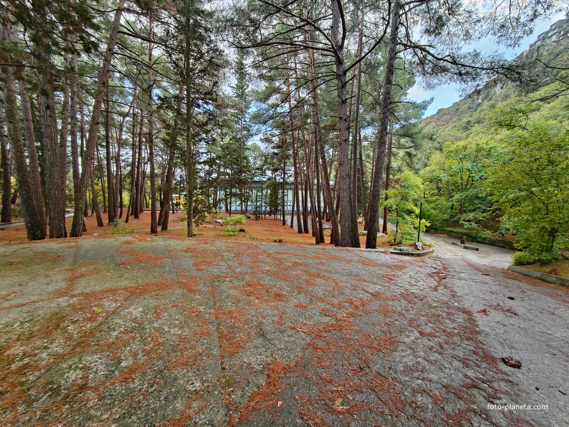 Парк санатория "Горный" в п.г.т. Курпаты.