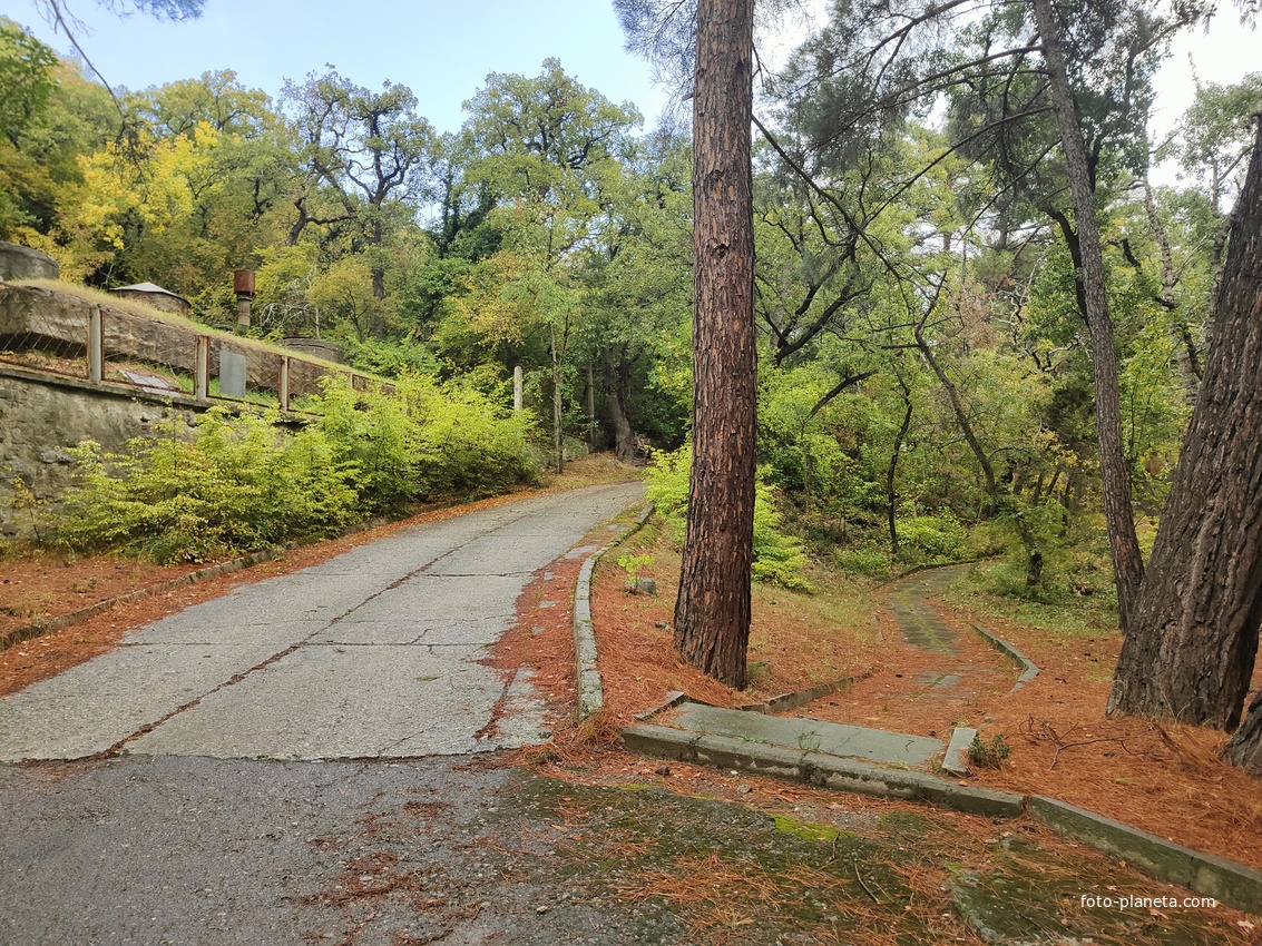 Парк санатория "Горный" в п.г.т. Курпаты.