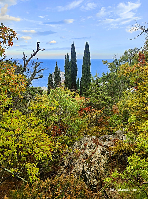 Парк санатория "Горный" в п.г.т. Курпаты. Вид на акваторию Чёрного моря.