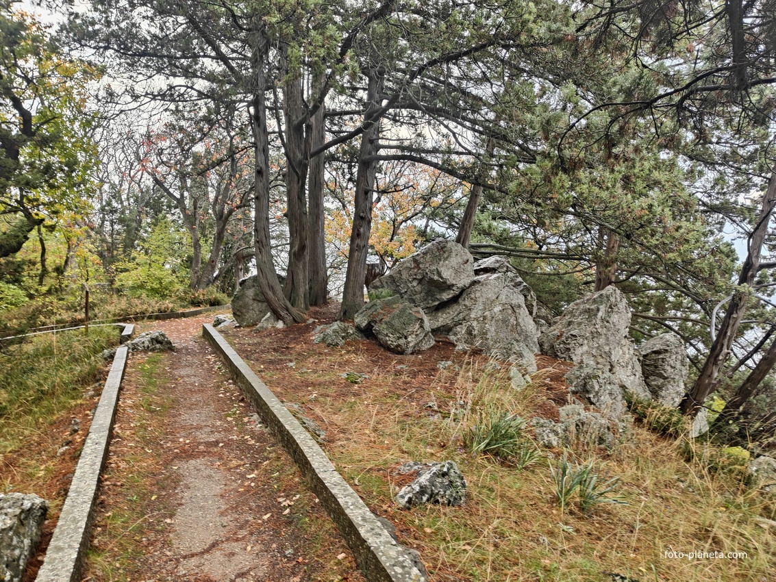 Парк санатория "Горный" в п.г.т. Курпаты.