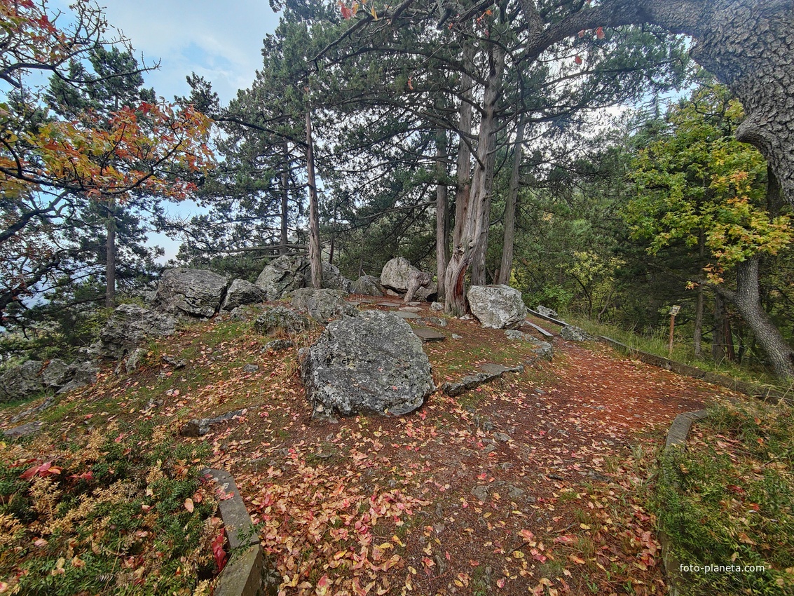Парк санатория "Горный" в п.г.т. Курпаты.