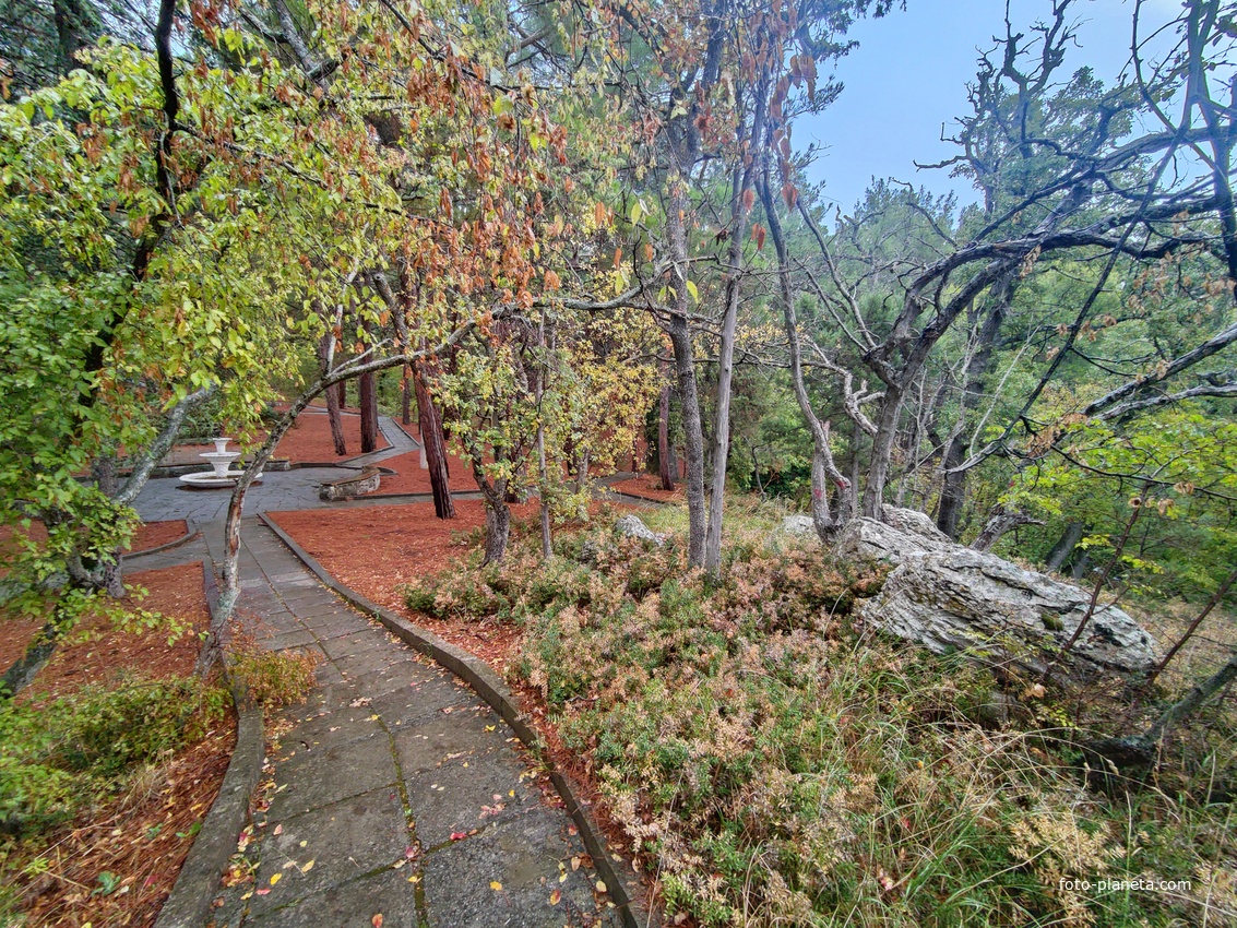 Парк санатория "Горный" в п.г.т. Курпаты.