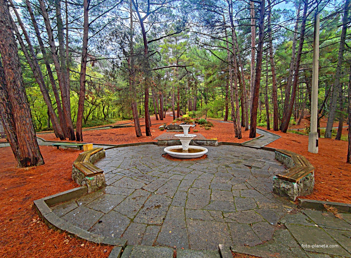 Парк санатория "Горный" в п.г.т. Курпаты.