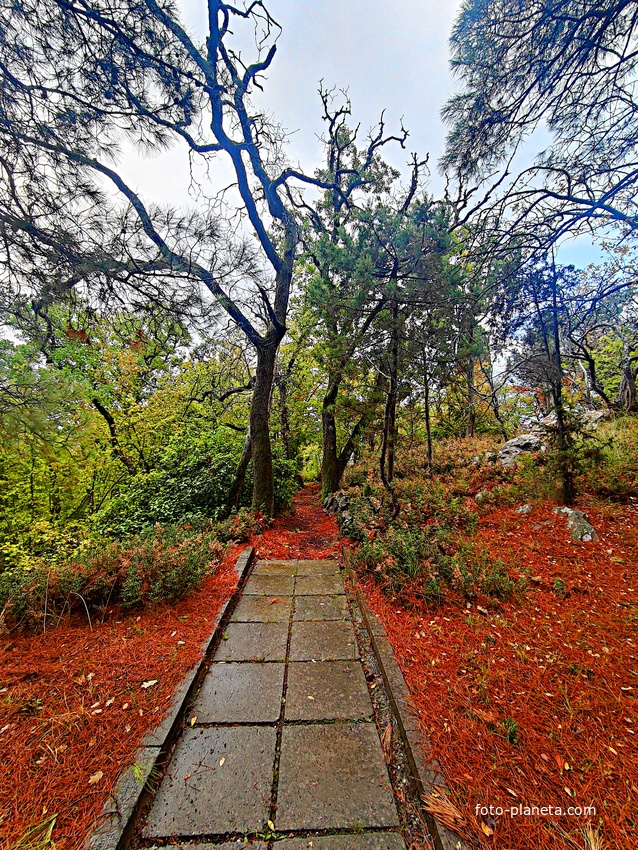 Парк санатория "Горный" в п.г.т. Курпаты.