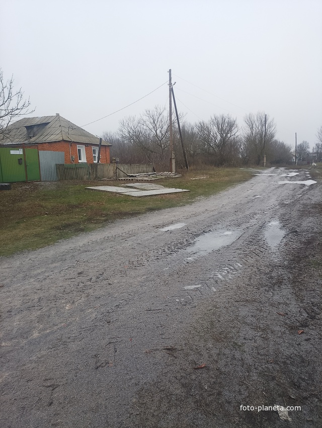 Улица Мира