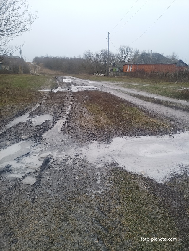 Улица Мира
