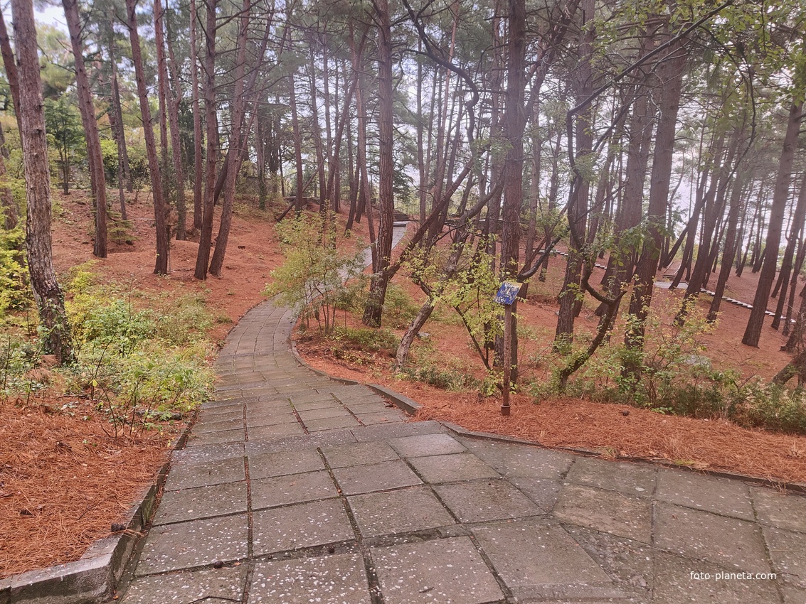 Парк санатория "Горный" в п.г.т. Курпаты.