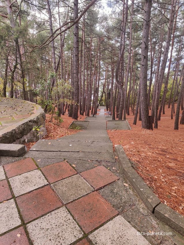 Парк санатория "Горный" в п.г.т. Курпаты.