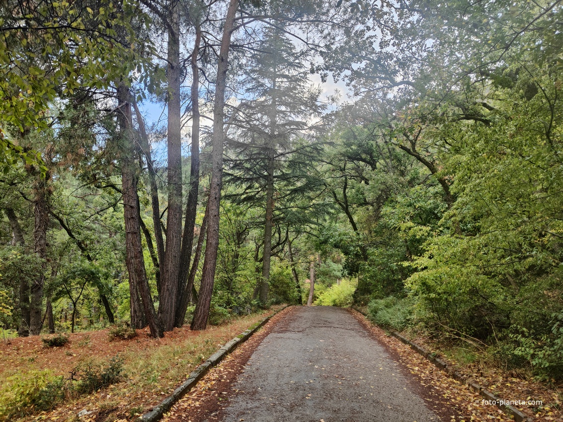 Парк санатория "Горный" в п.г.т. Курпаты.