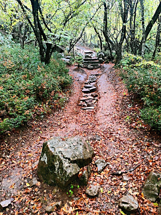 Спуск к санаторию "Горный" от Царской (Солнечной) тропы.