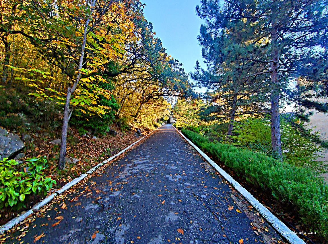 Санаторий "Горный" в п.г.т. Курпаты. Дорожки между корпусами.