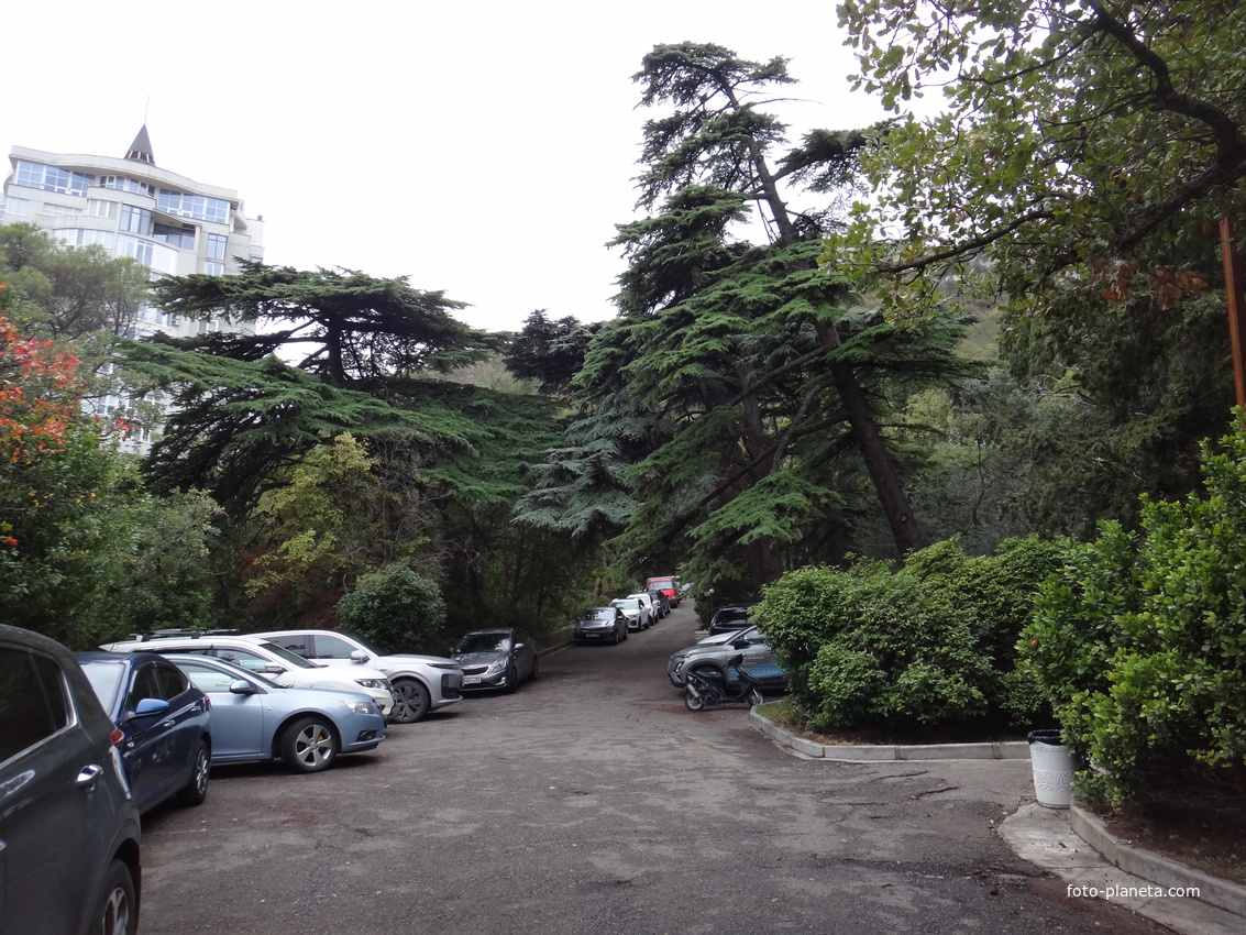 Парк бывшего санатория имени Пальмиро Тольятти в Курпатах. Слева - высотный ЖК "Южная Пальмира".