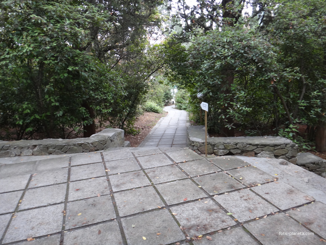 Парк бывшего санатория имени Пальмиро Тольятти в Курпатах.