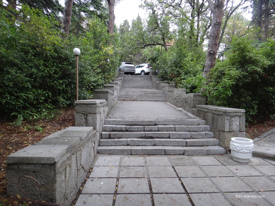 Парк бывшего санатория имени Пальмиро Тольятти в Курпатах.