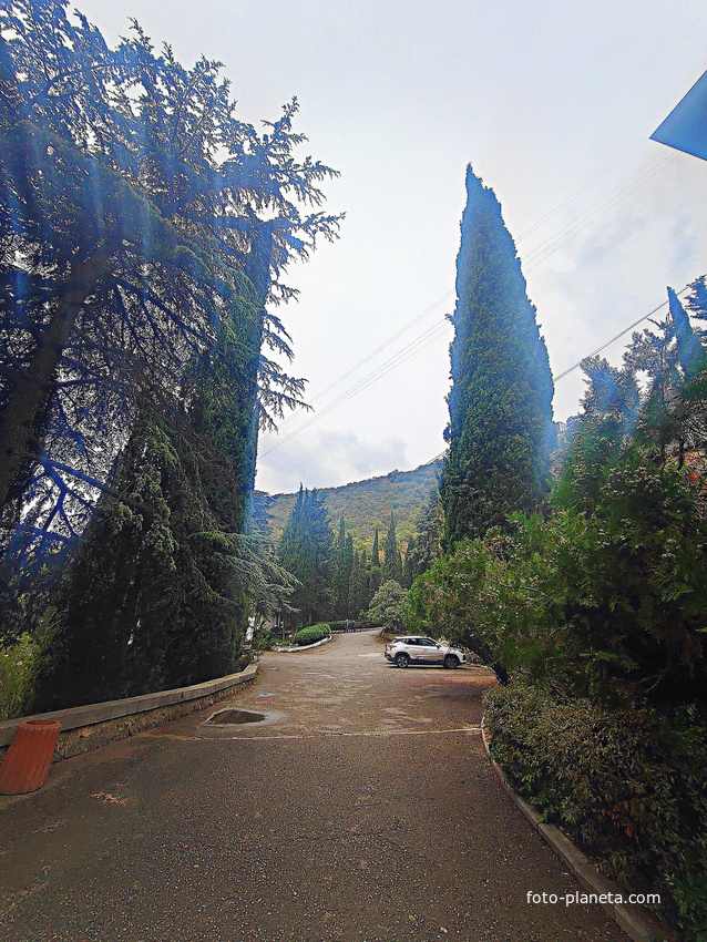 Парк бывшего санатория имени Пальмиро Тольятти в Курпатах.