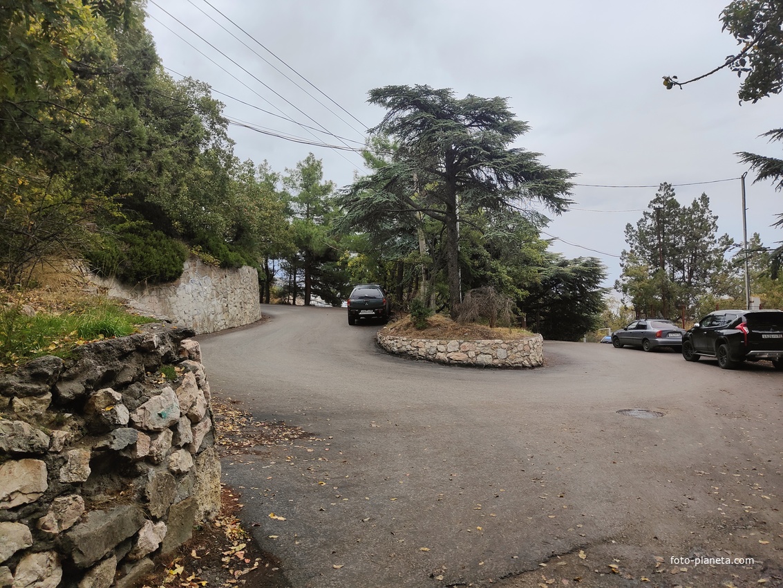 Парк бывшего санатория имени Пальмиро Тольятти в Курпатах.