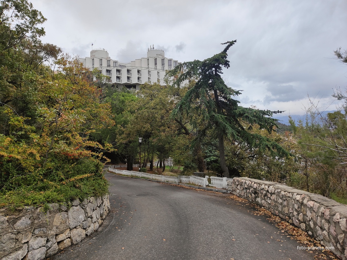 Парк бывшего санатория имени Пальмиро Тольятти в Курпатах. Корпус «Дружба», построенный в 1985г. совместно с чехами.