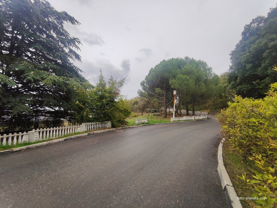 Парк бывшего санатория имени Пальмиро Тольятти в Курпатах.