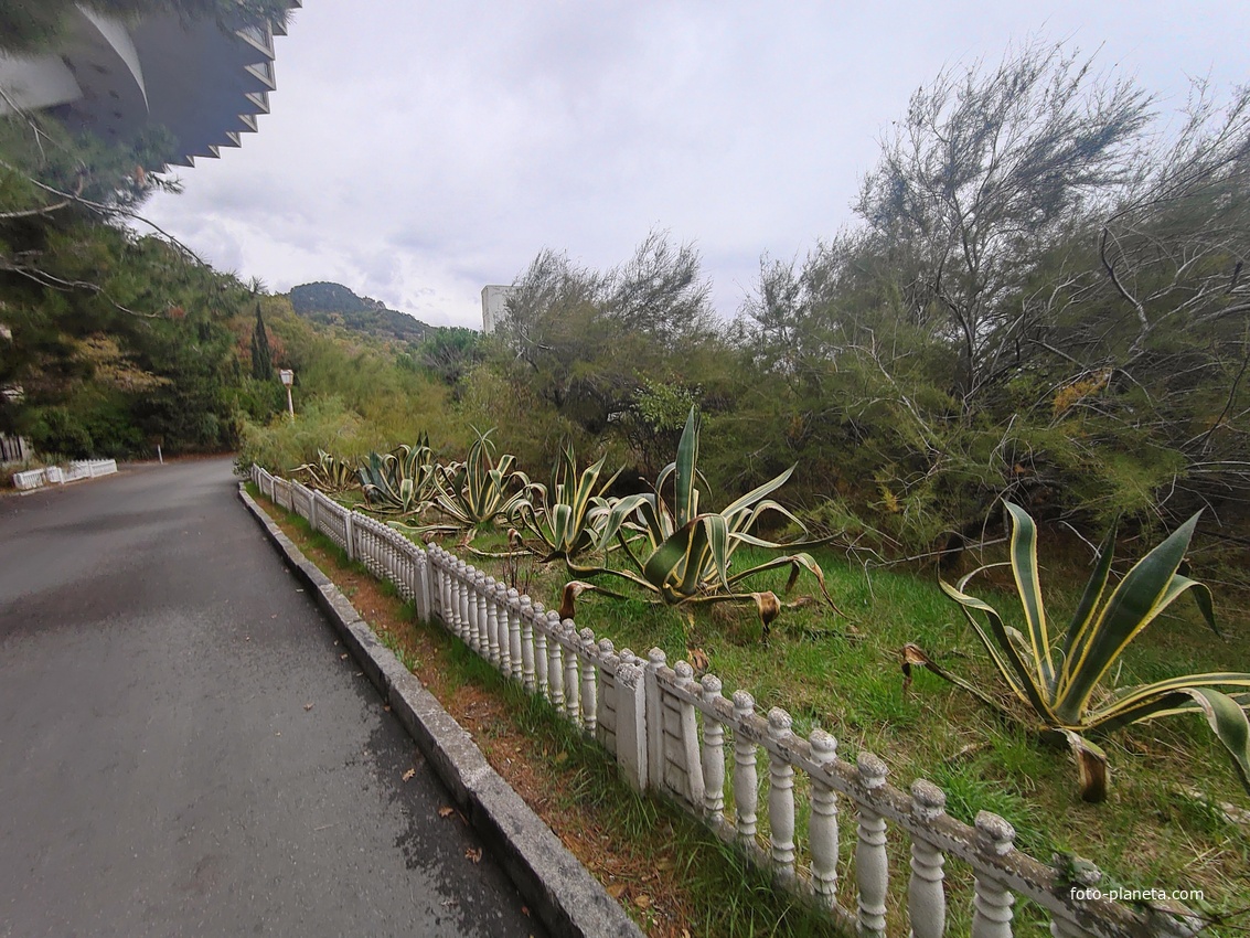 Парк бывшего санатория имени Пальмиро Тольятти в Курпатах. Корпус «Дружба», построенный в 1985г. совместно с чехами (знаменитая «летающая тарелка»).
