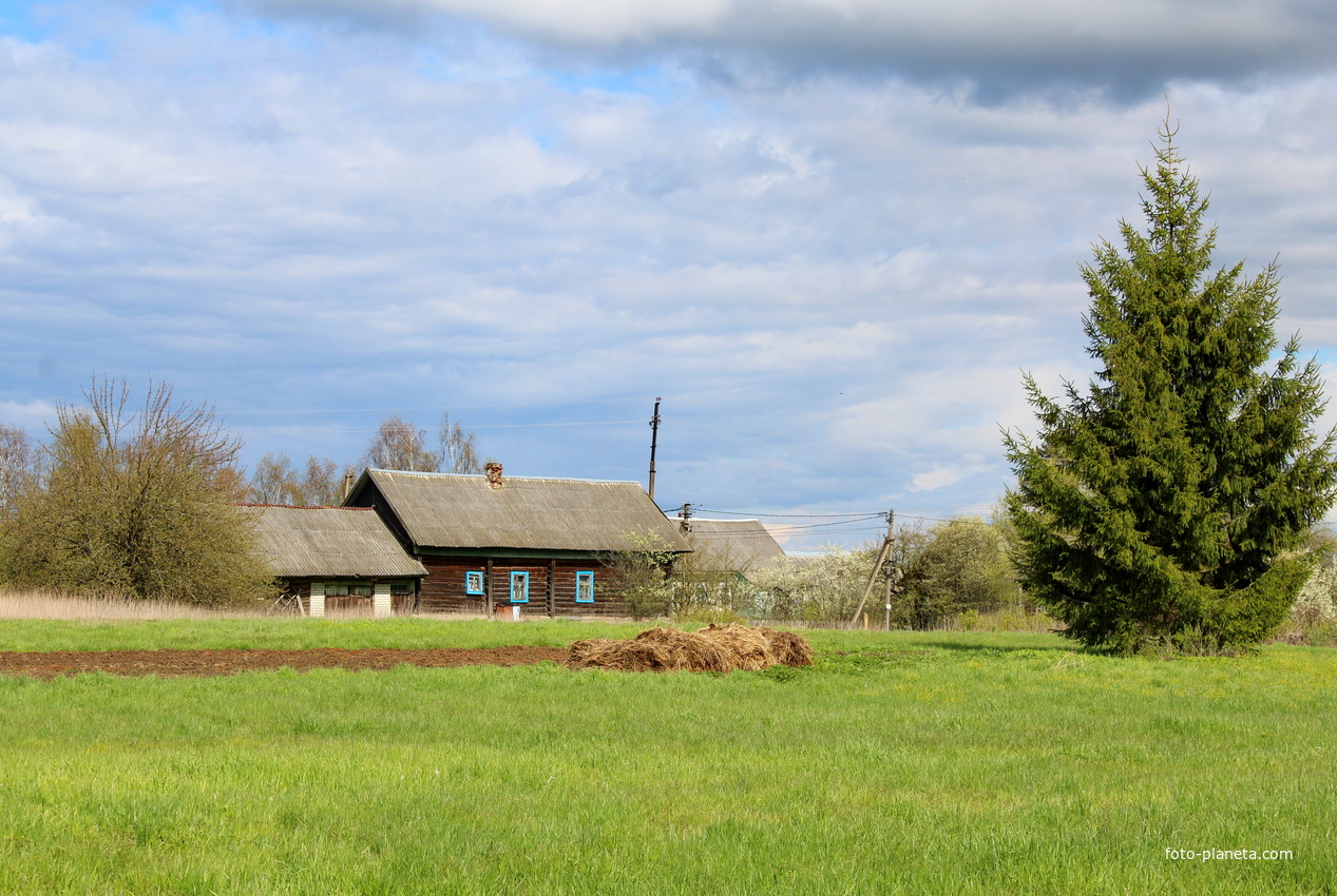 Май в Мартынове.