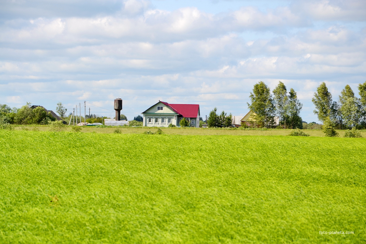 Мартыново летом.