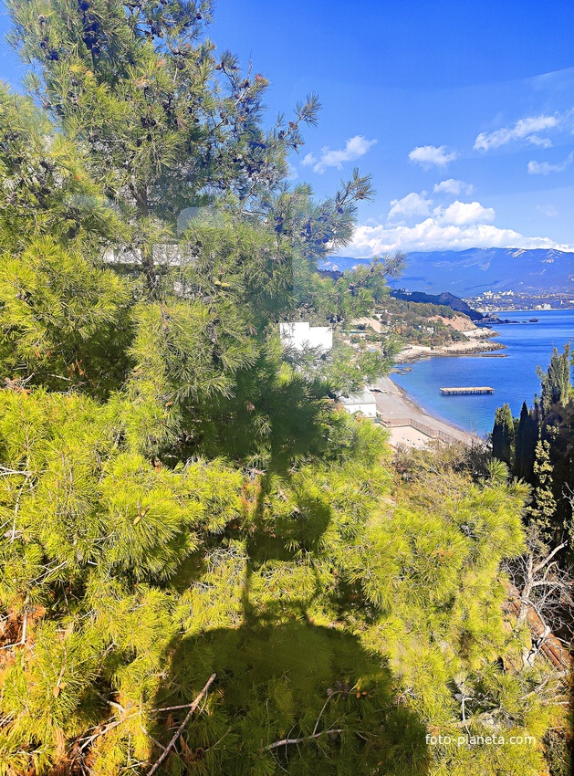 Вид с канатной дороги санатория "Горный" в п.г.т. Курпаты на Золотой пляж Черноморского побережья (часть пляжа принадлежит комплексу «Курпаты» Управления делами Президента РФ, часть общественная).