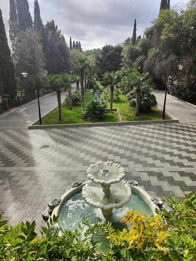 В Приморском парке имени Ю. А. Гагарина. Пальмовая аллея с фонтаном.